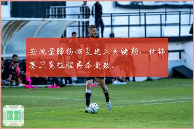 安洗莹膝伤恢复进入关键期，世锦赛卫冕征程再添变数。