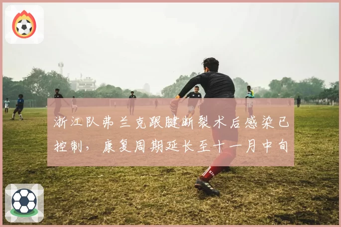 浙江队弗兰克跟腱断裂术后感染已控制,康复周期延长至十一月中旬
