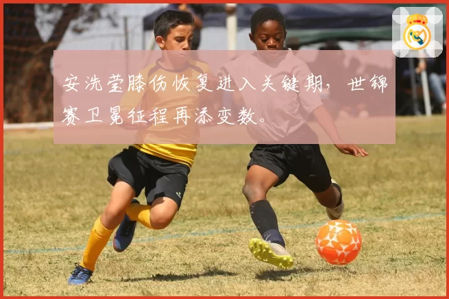 安洗莹膝伤恢复进入关键期，世锦赛卫冕征程再添变数。