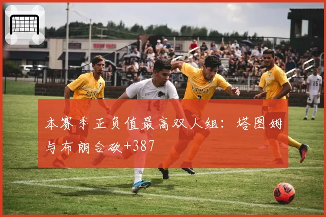 本赛季正负值最高双人组：塔图姆与布朗合砍+387